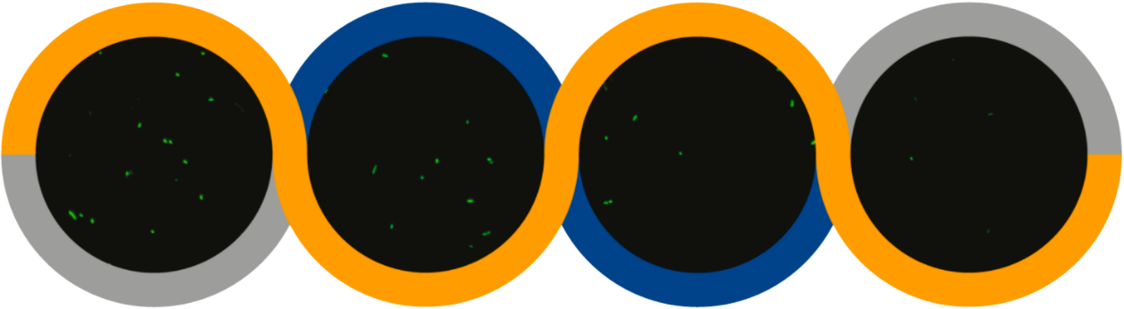 w66.利来(中国区)_来利国际旗舰厅