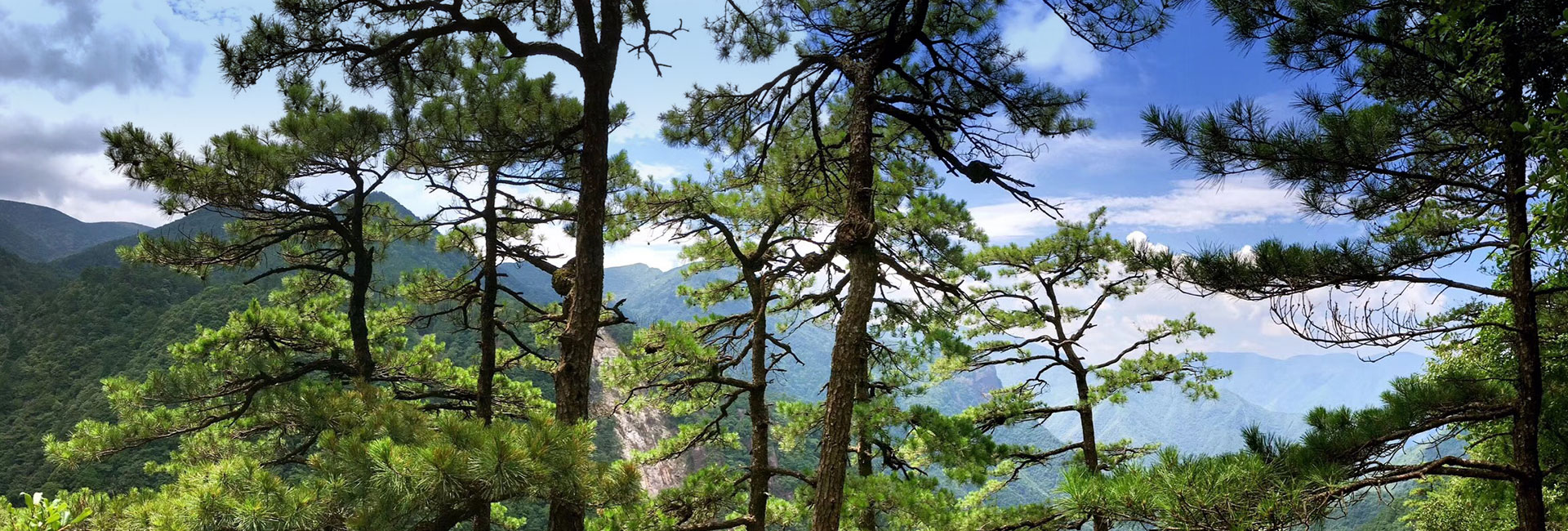 w66.利来(中国区)_来利国际旗舰厅